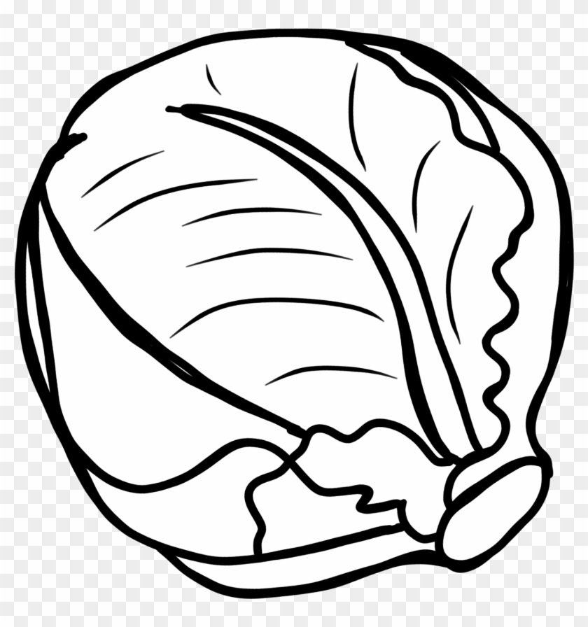 Cabbage Clipart, Vegetables Clip Art, Cabbage Clip - Cabbage Clipart Black And White - Png Download #153786