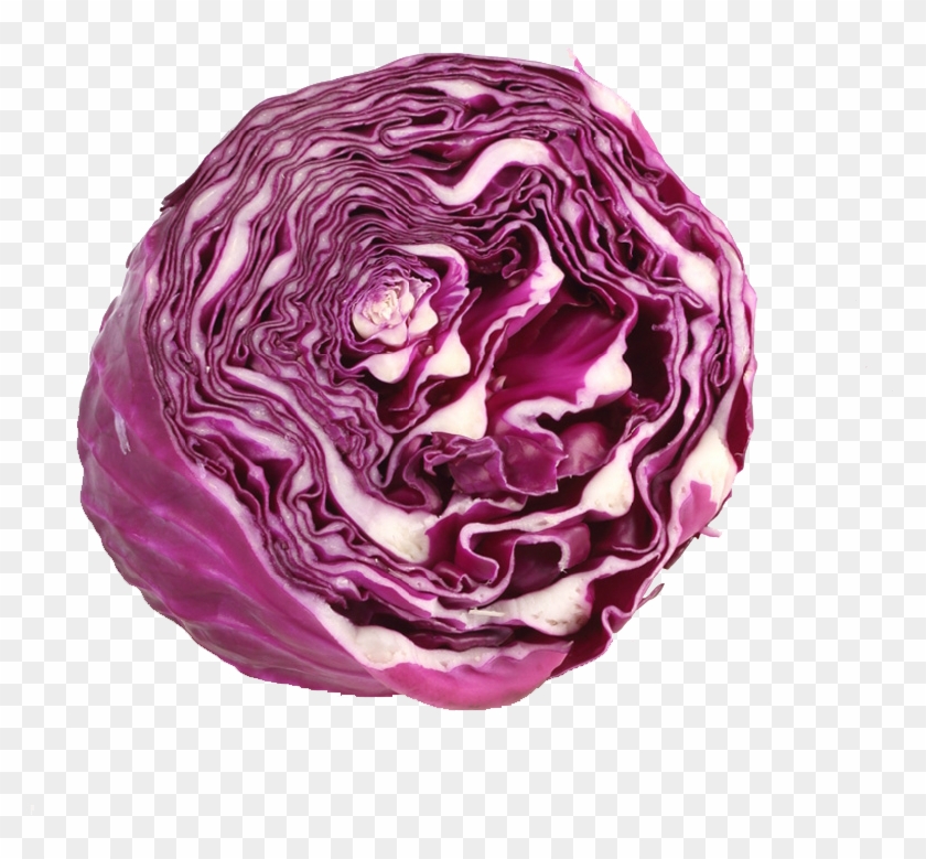 800 X 800 7 - กะหล่ำ ปลี ม่วง Png Clipart