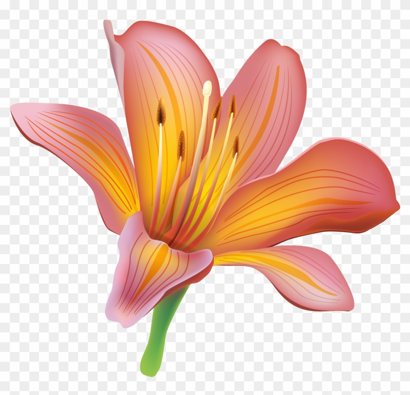 Blue Drawing Tiger Lily For Free - Lily Png Clipart #153855