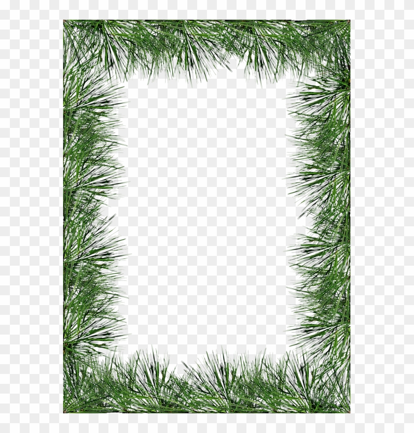 Christmas Border, Christmas Frames, Christmas Background, - Christmas Pine Frame Png Clipart #154120