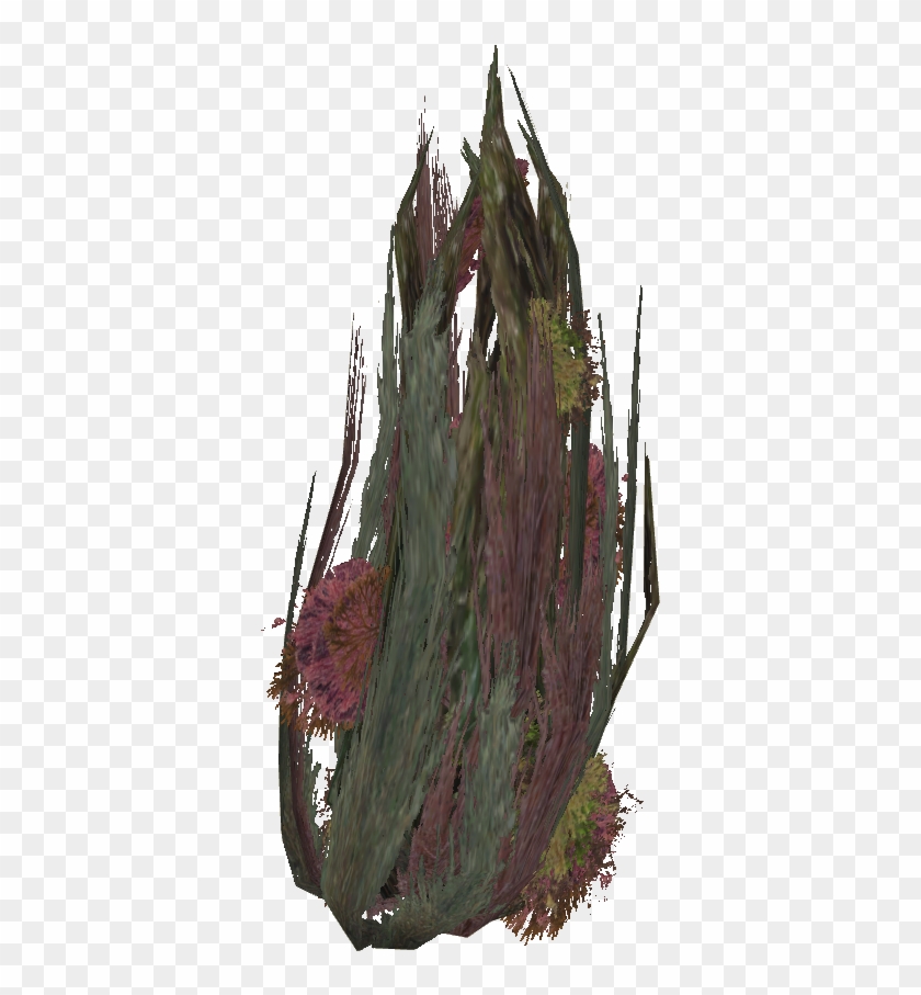 Seaweed Png - Cactus Clipart #154199