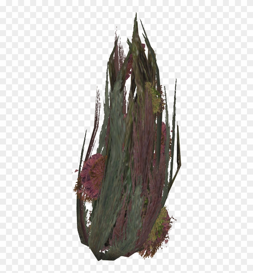 Seaweed Png - Cactus Clipart