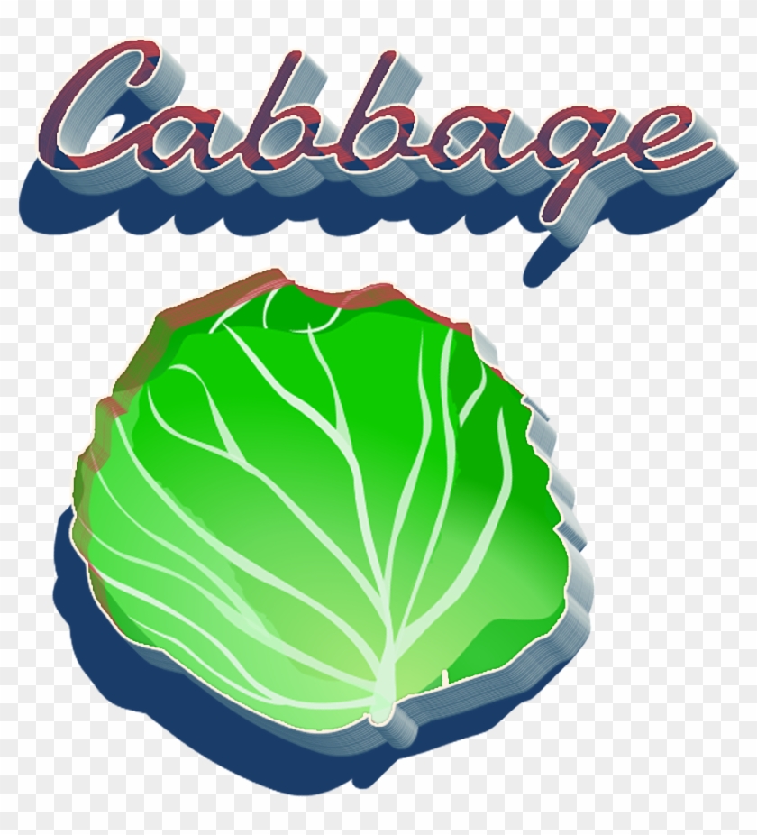 Cabbage Png Clipart - Illustration Transparent Png #154228