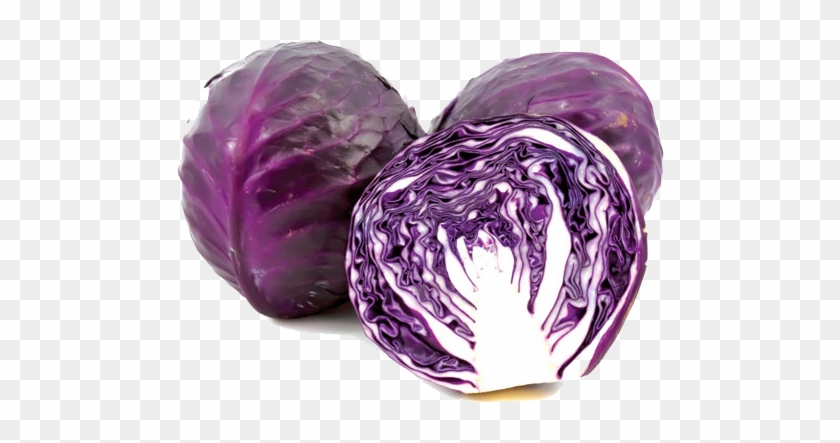 Purple Cabbage Transparent Image - Bắp Cải Tím Clipart #154488