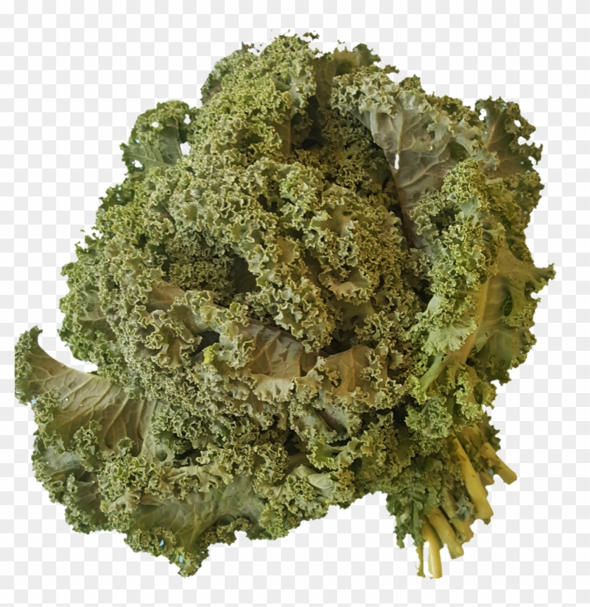 1531937704003 - Herbal Tea Leaves Clipart