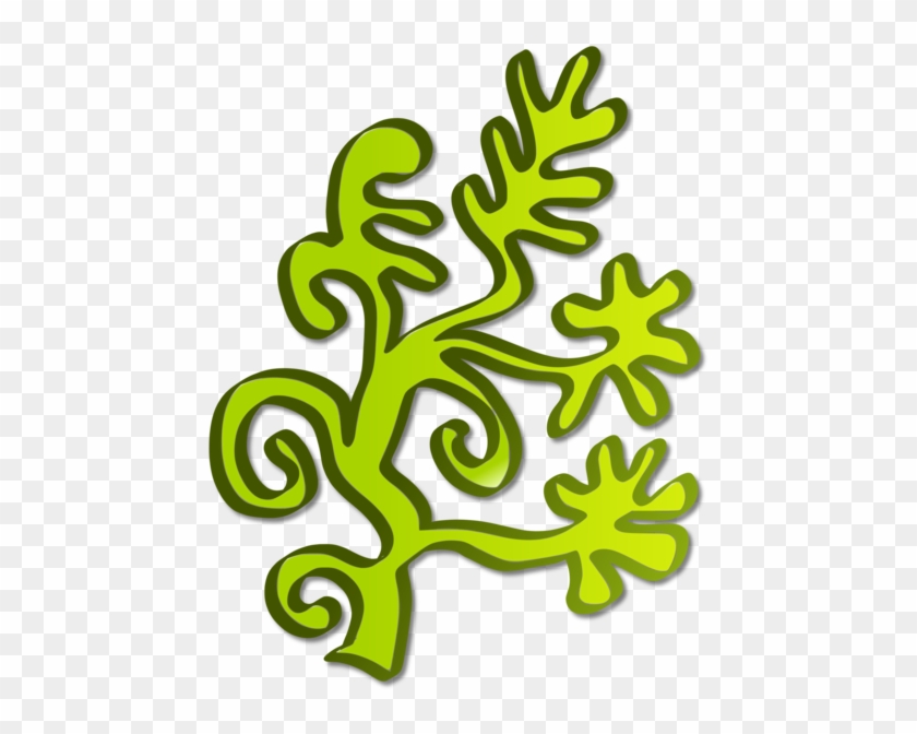 Algae Seaweed Aquatic Plants Cryptogamic Botany - Algae Clipart - Png Download #154629