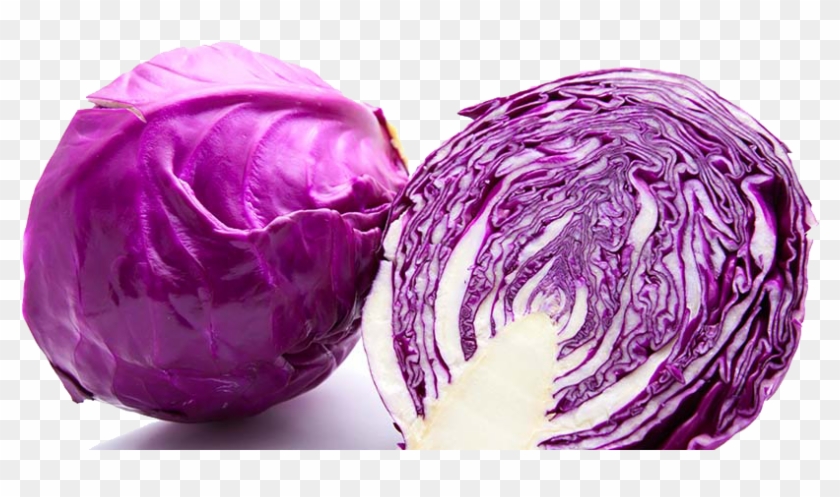 Purple Cabbage Png Image - Purple Cabbage Clipart #154630