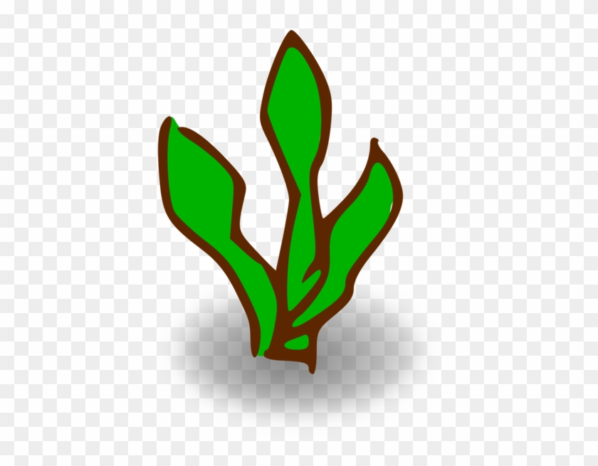 Kelp Forest Seaweed Sea Otter Algae - Kelp Clipart - Png Download