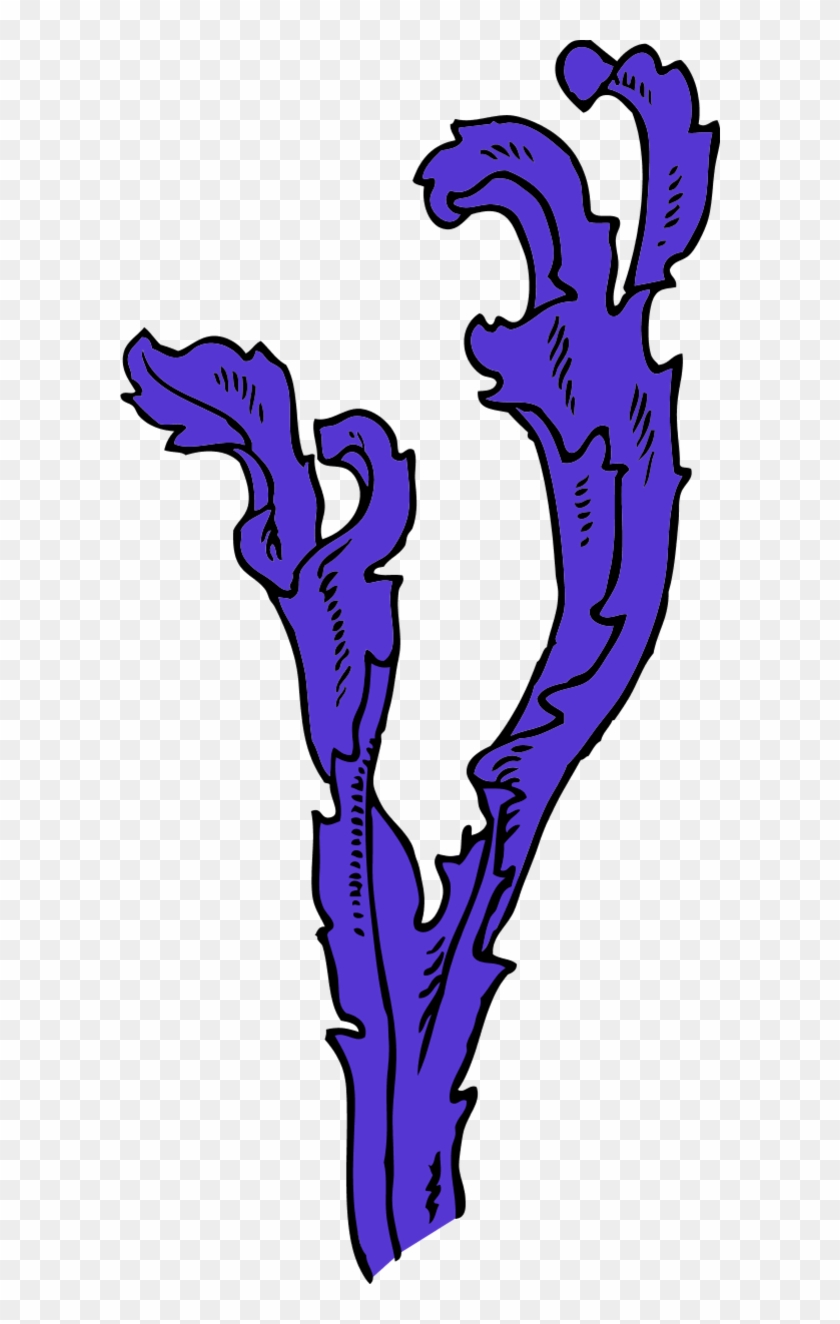 Vector Clip Art - Seaweed Clip Art - Png Download