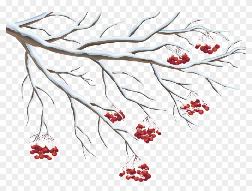 Snowy Berries Png Clipart Gallery Yopriceville High - Winter Berry Tree Drawing Transparent Png #154954