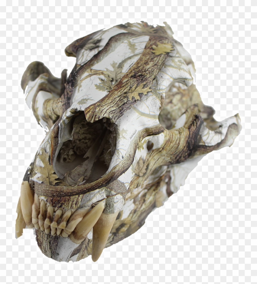 Animal Skull Hydro Dipping Service - Skull Clipart