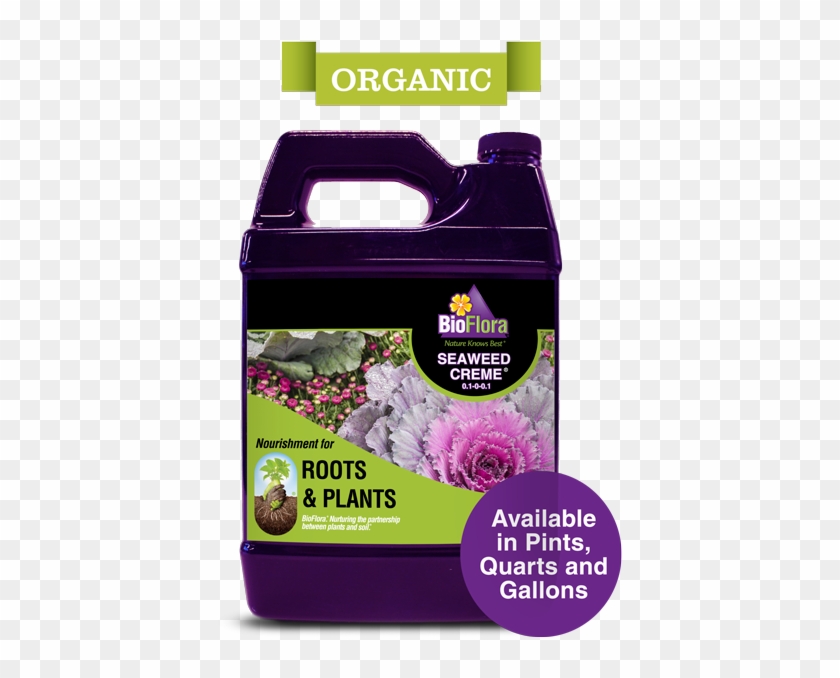 Flower Clipart #155391