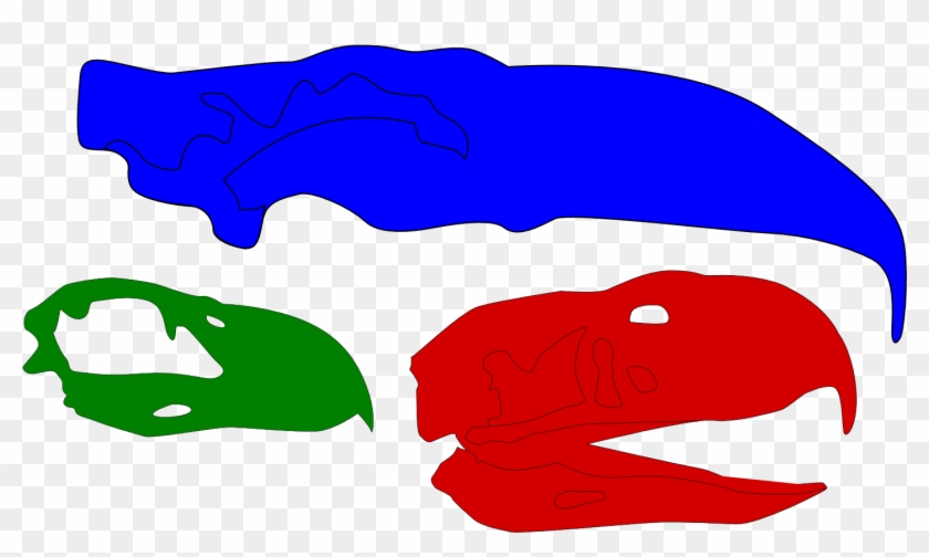 Skulls Of Phorusrhacids - Phorusrhacids Skull Clipart