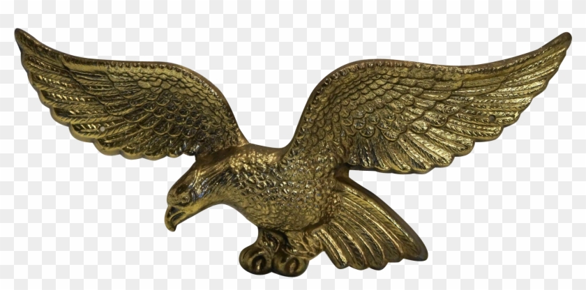 Top Images For American Brass Eagle Plaque On Picsunday - Red-tailed Hawk Clipart #155829