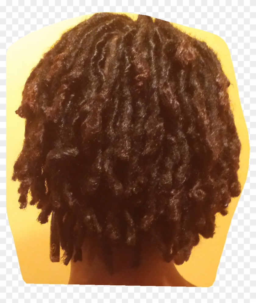 Dreadlock Maintenance - Lace Wig Clipart #156200