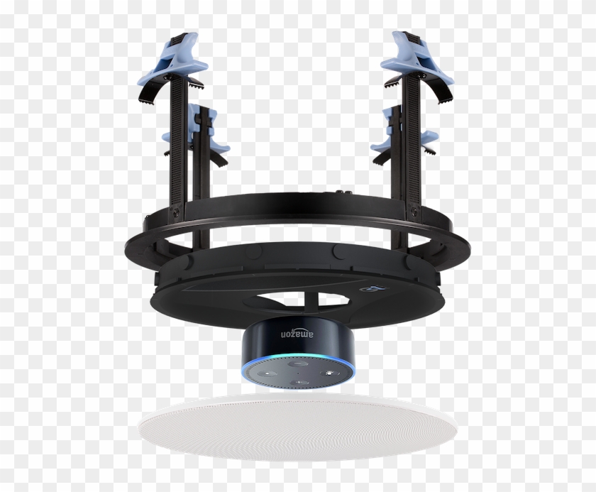 If You've Ever Wondered Whether Or Not There Were An - Amazon Echo Dot Clipart