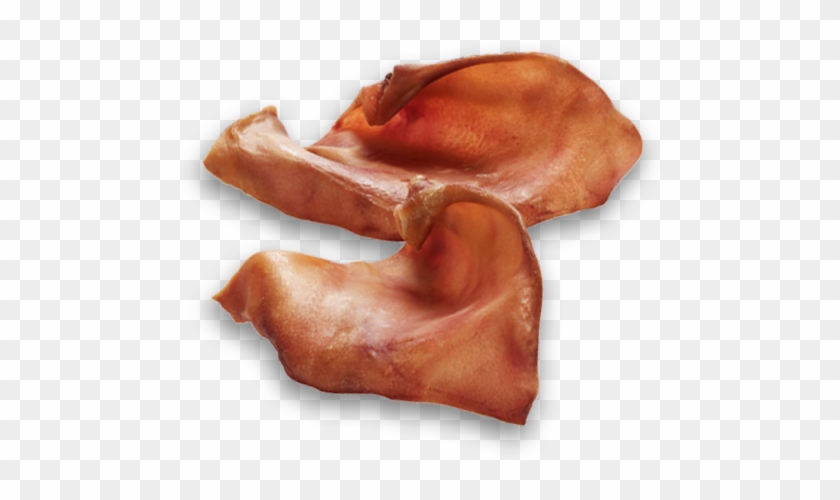 770 X 464 15 - Pig's Ear Clipart