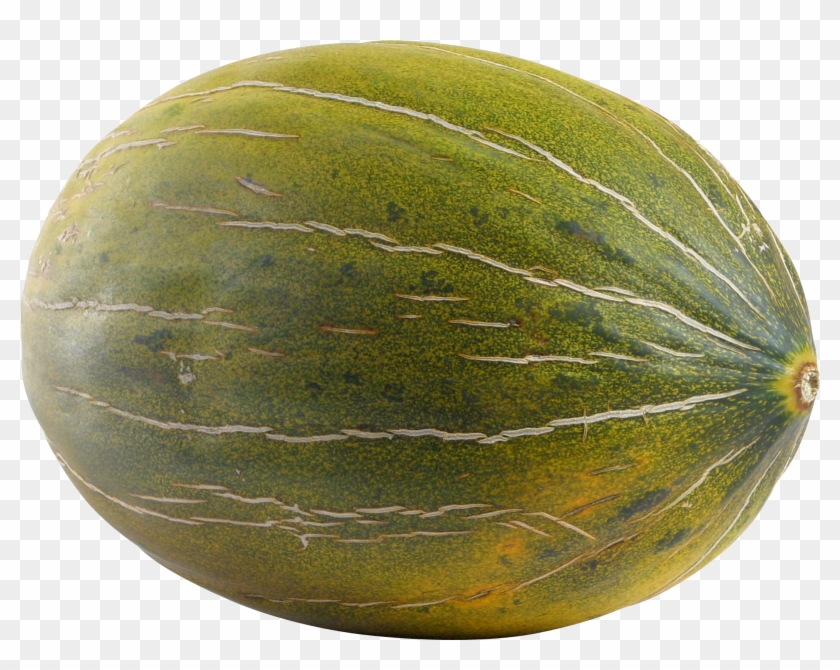 Melon Png - Transparent Melon Clipart