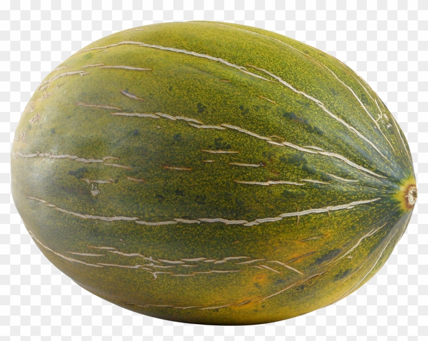 Melon Png - Transparent Melon Clipart #1505620