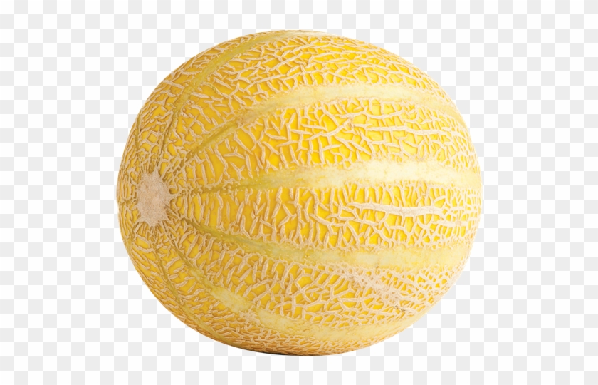 Lemon Drop Melon - Lemondrop Melon Clipart #1505912