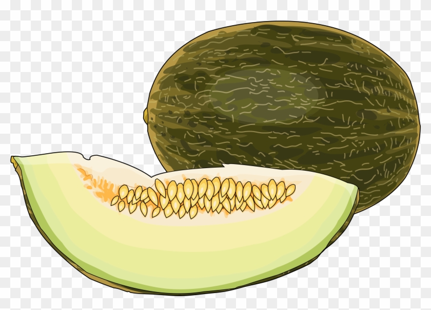 Cantaloupe Png Download Clipart #1506028
