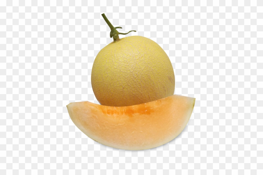 Commercial - Honeydew Clipart