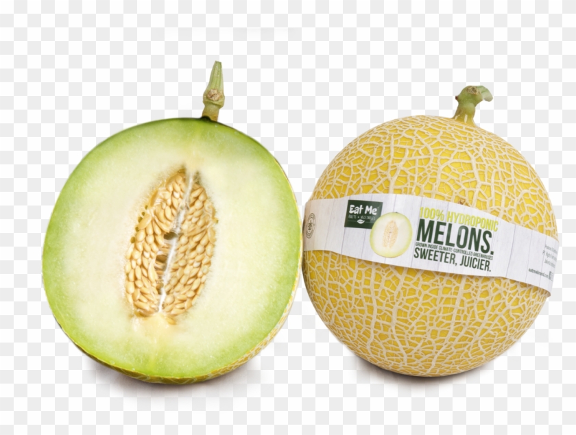 Melon7 - Melon Baby Blonde Clipart #1506786