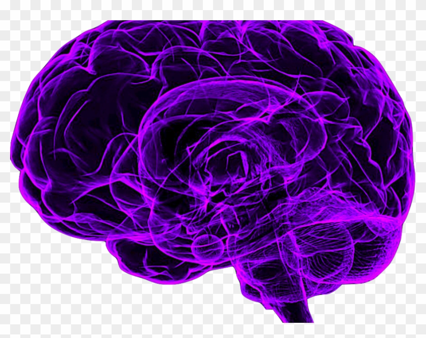 Mindfulness Meditation Made Simple - Purple Brain Transparent Clipart #1509887