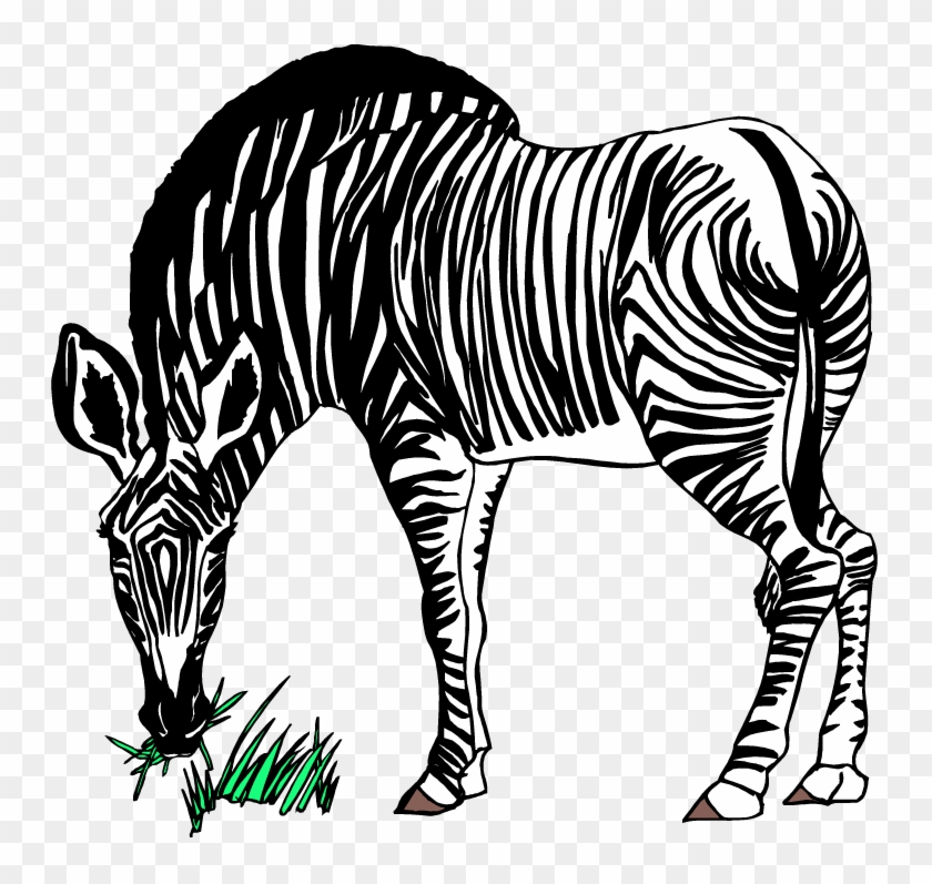 Free Zebra Clipart - Zebra Eating Grass Clipart - Png Download #1510193
