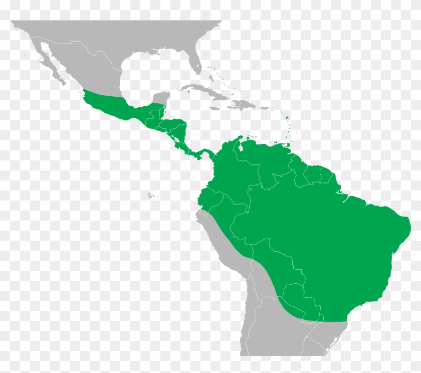 Iguana Iguana Distribution Map - Green Iguana Distribution Clipart