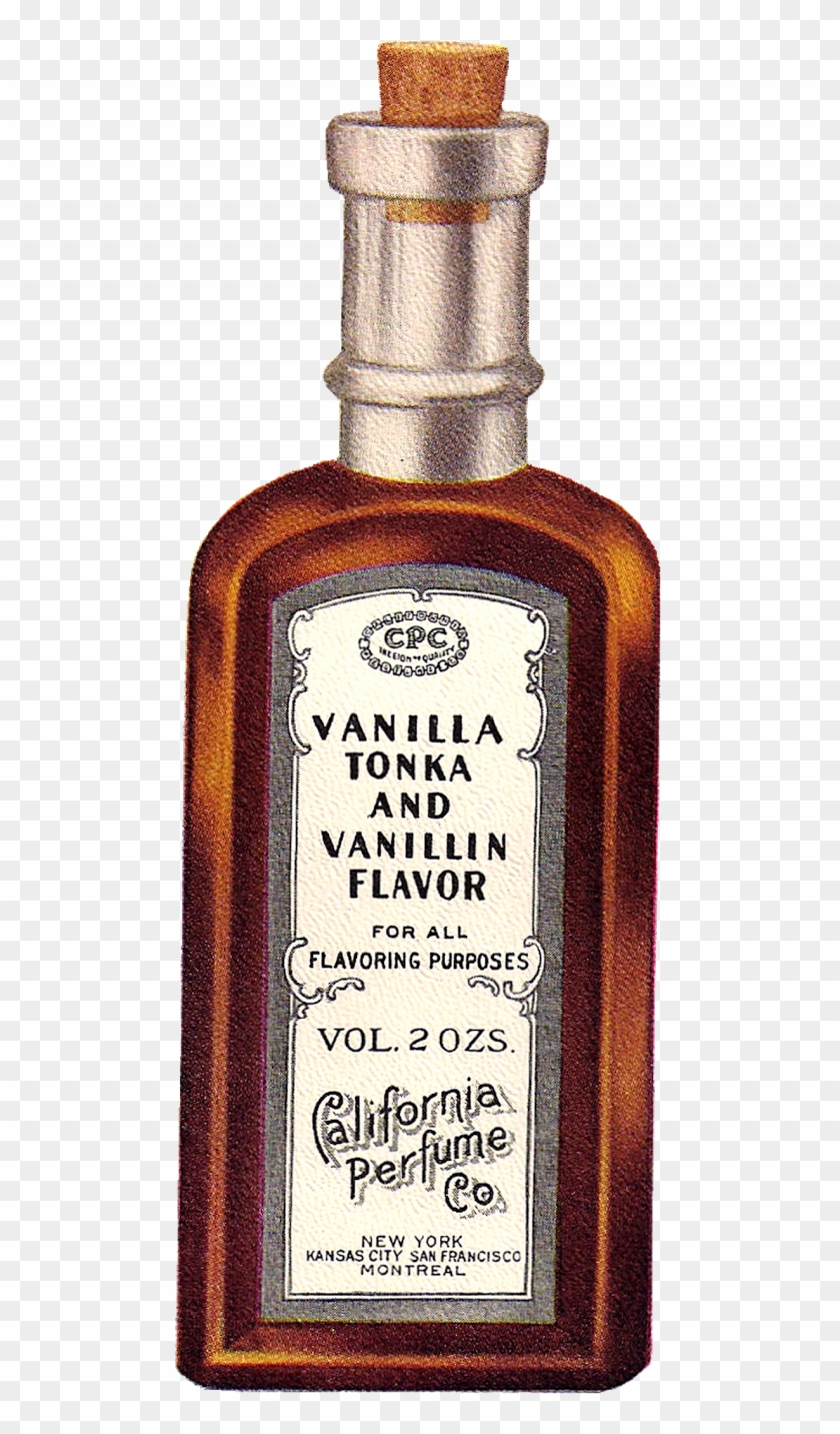 The Extract Bottle Labels Are Wonderfully Detailed - Vanilla Bottle Clip Art - Png Download