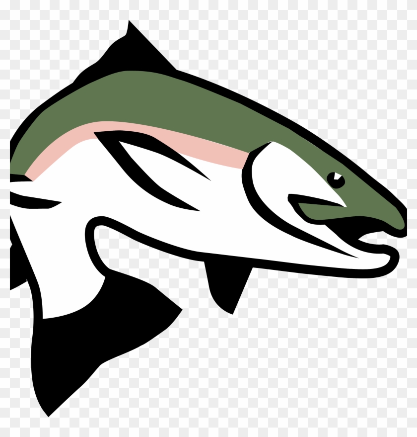 Trout Pro Store - Rainbow Trout Trout Clipart - Png Download #1510423
