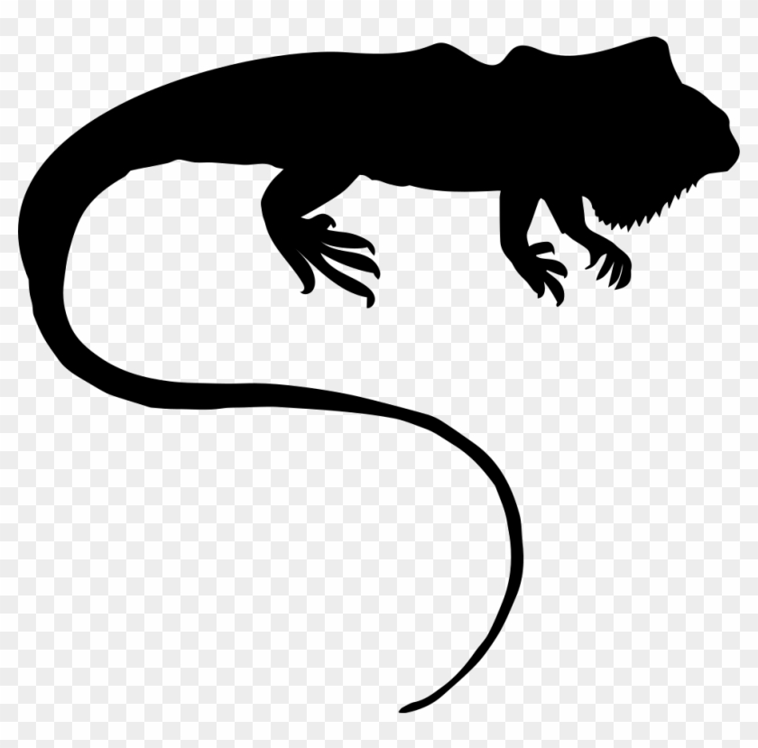 Png File Svg - Iguana Silhouette Png Clipart #1510487