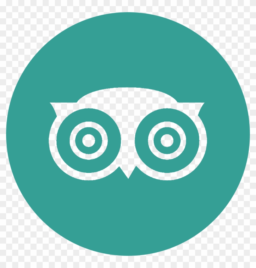 Flickrlogo, Youtubelogo, Instagramlogo, Tripadvisorlogo - Trip Advisor Icon White Clipart