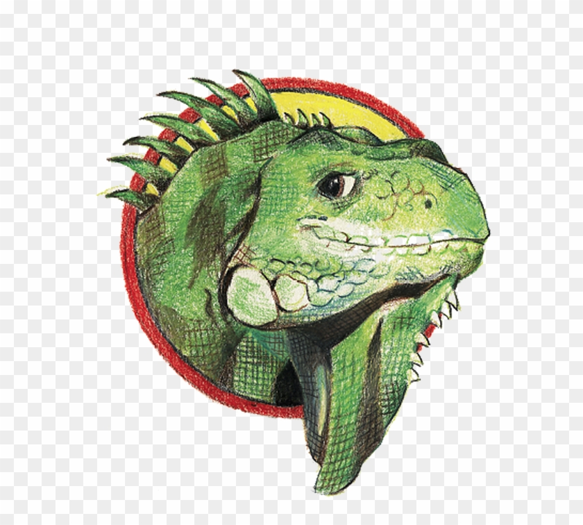 I Wanna Iguana - Green Iguana Clipart #1510787