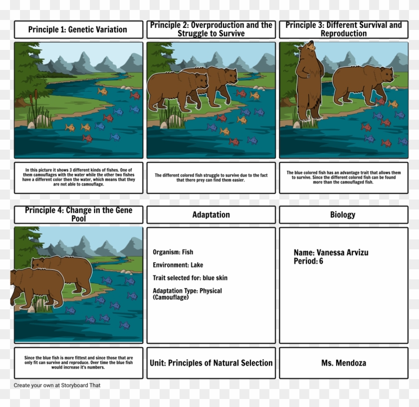 Storyboard Iguana - Storyboard Clipart #1510817