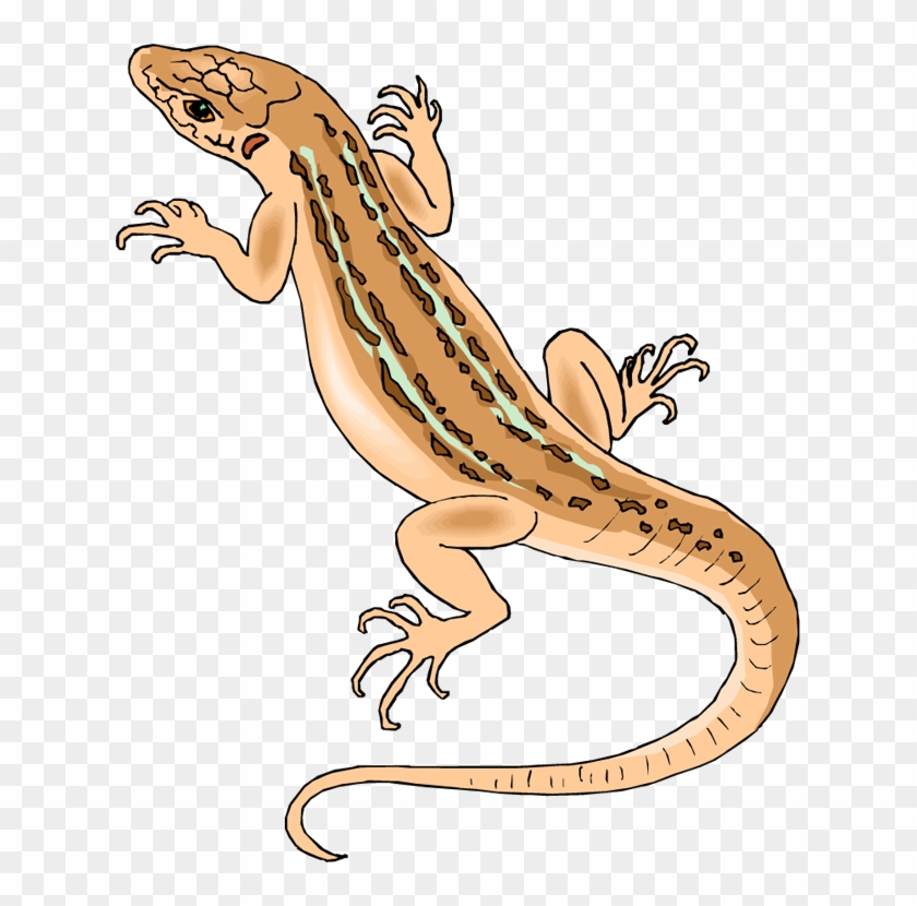 Iguana Clipart Wild Animal - Clipart Lizard - Png Download