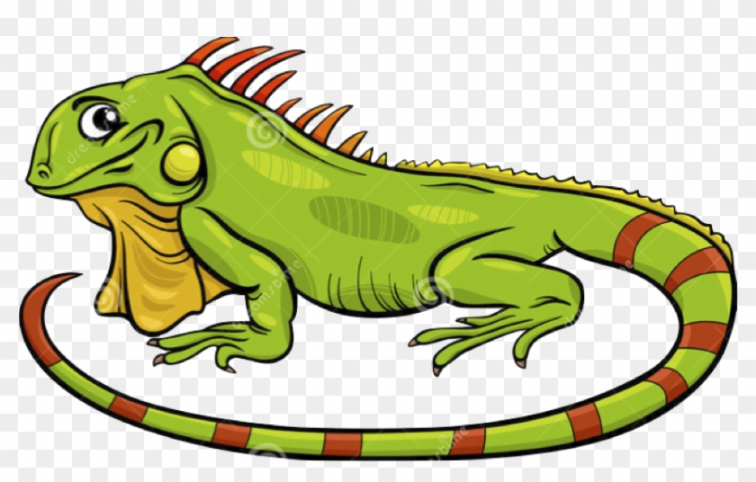 Clip Art Iguana Clipart - Iguana Vector - Png Download