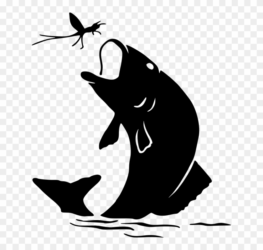 Trout Clipart Fly Fishing Flies - Fishing Silhouette Clip Art - Png Download