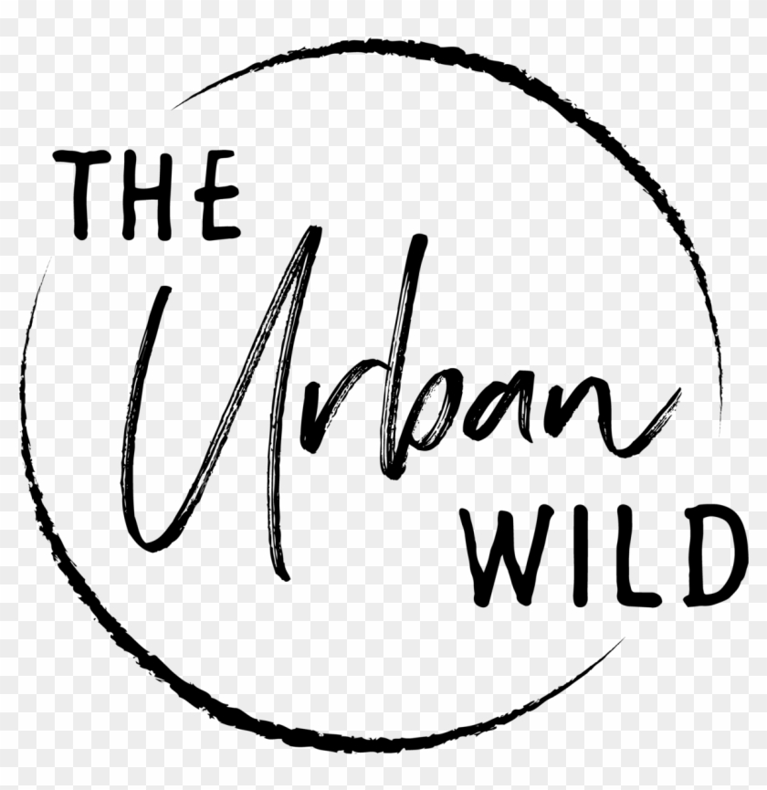 Clipart Black And White Drawing Instagram Urban - Calligraphy - Png Download