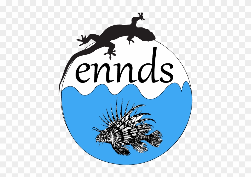 Illustration Clipart