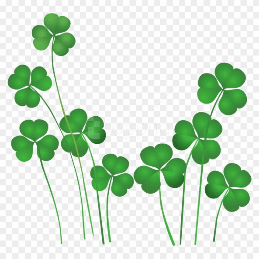 Free Png Download St Patricks Day Shamrocks Decor Png - Shamrocks Free Clip Art Transparent Png