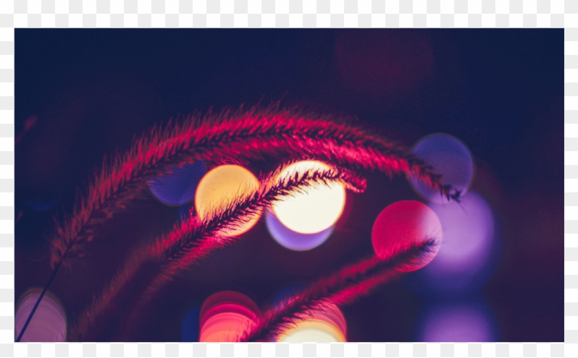 Score 50% - Bokeh Clipart #1513061