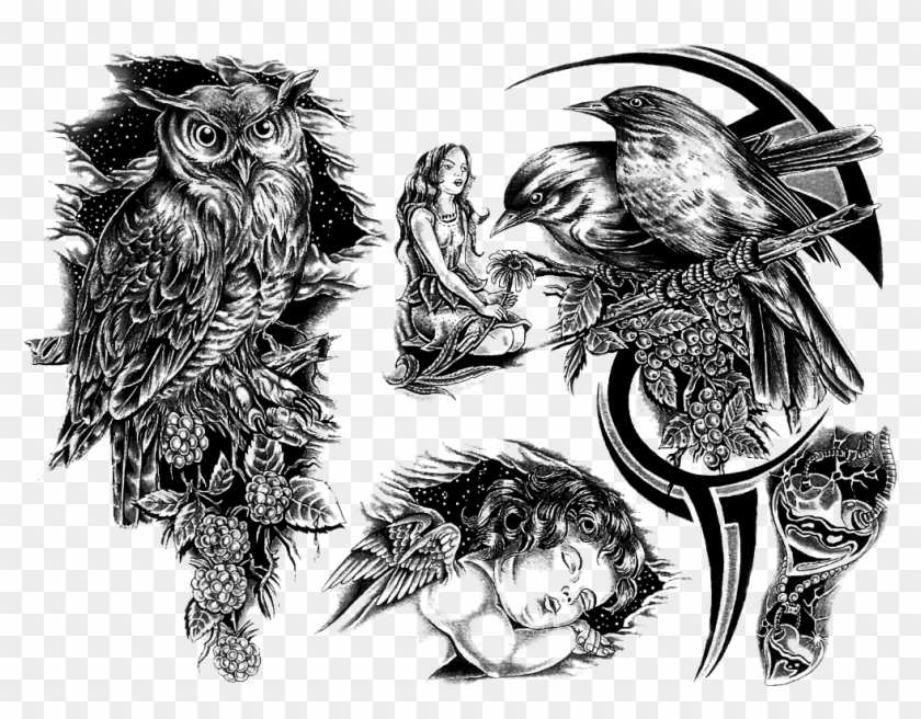 Tattoo With Transparent Background Img23 «black And - Owl Tattoo Design Clipart #1514502