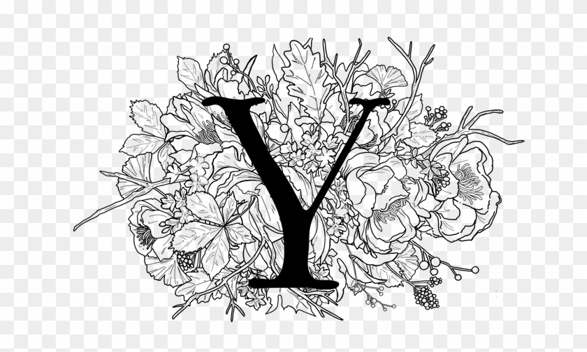 Yes Illo Y - Illustration Clipart #1515098