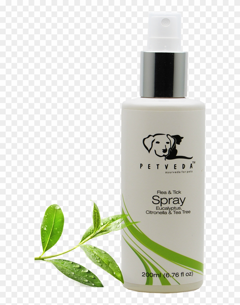 Tick & Flea Spray - Cosmetics Clipart