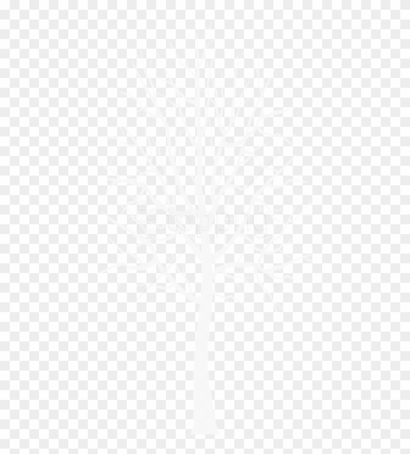 Free Png White Winter Tree Png Images Transparent - White Winter Tree Png Clipart