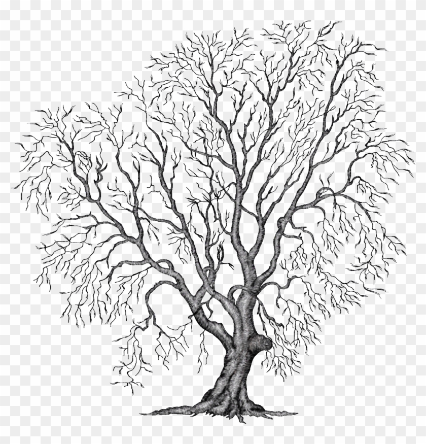 Winter Tree Clipart - Trees In Autumn Png Transparent Png #1516366