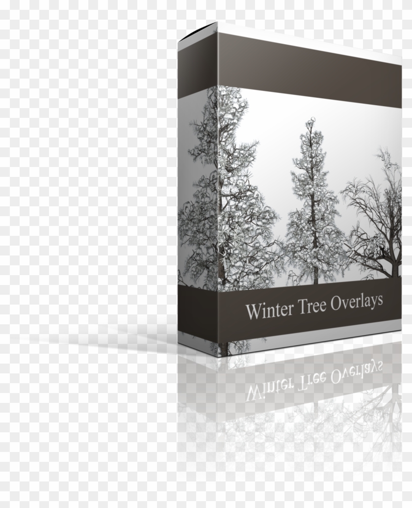 S327483270339485525 P50 I50 W2560 - Spruce Clipart