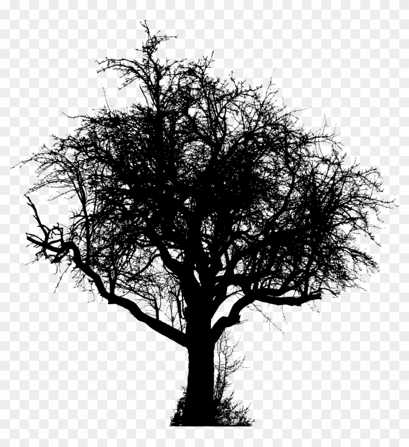 Big Image - Portable Network Graphics Clipart